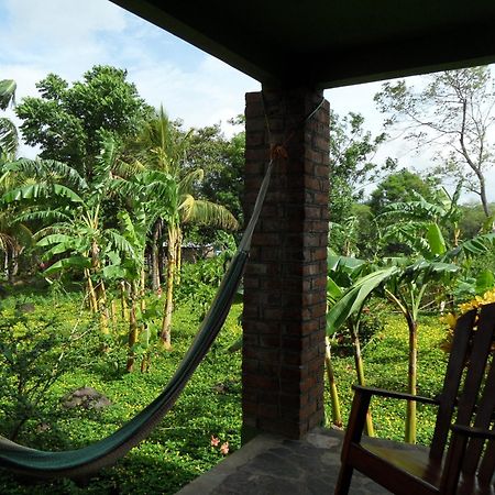 Finca Montania Sagrada Bed & Breakfast Merida Room photo