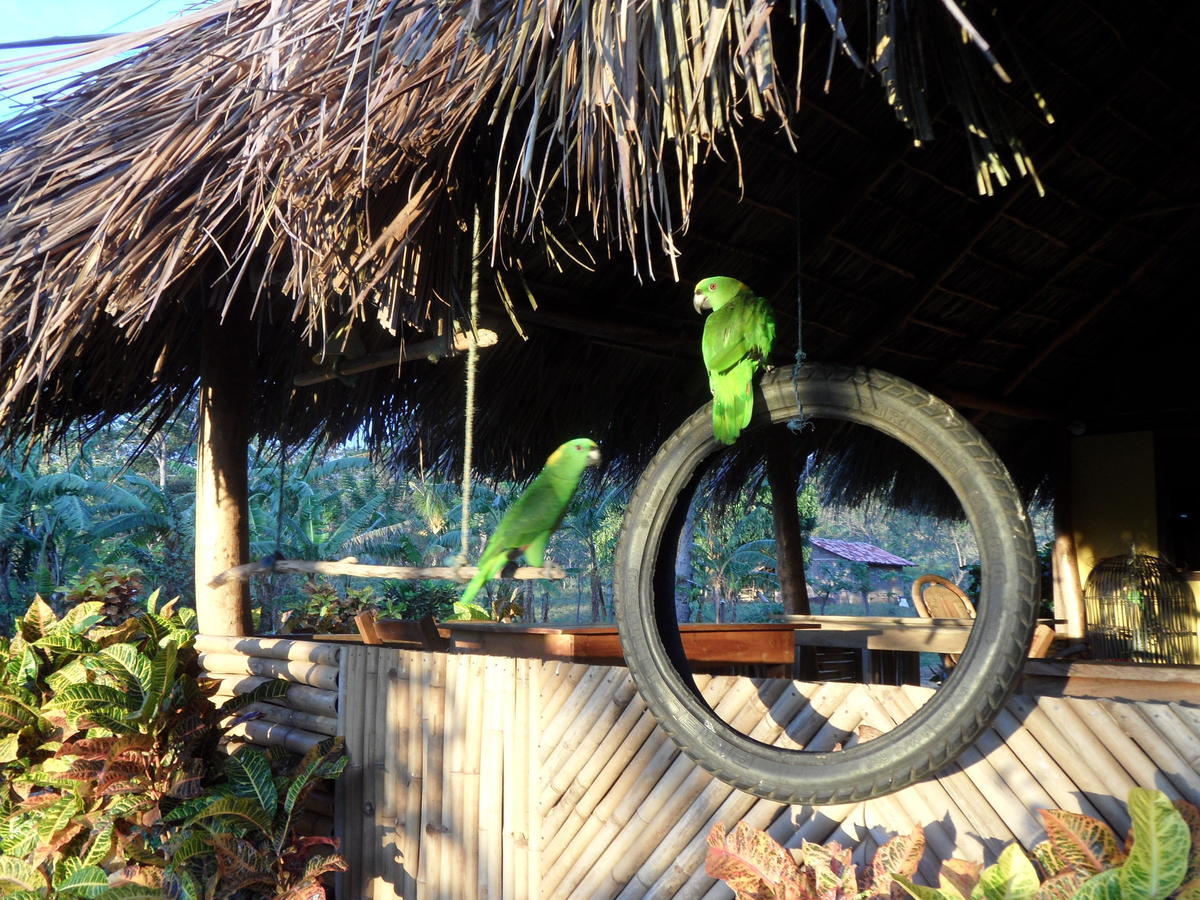 Finca Montania Sagrada Bed & Breakfast Merida Exterior photo