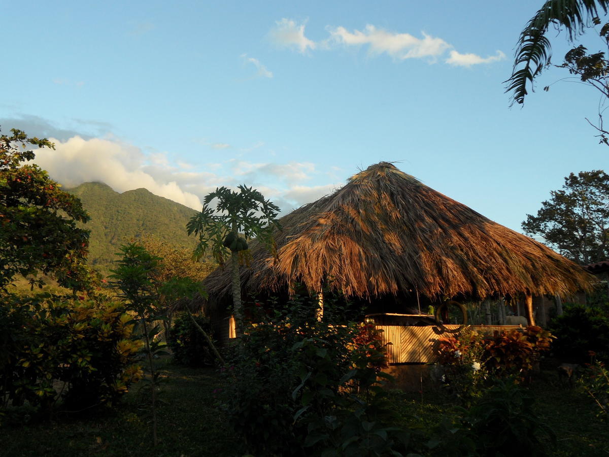 Finca Montania Sagrada Bed & Breakfast Merida Exterior photo