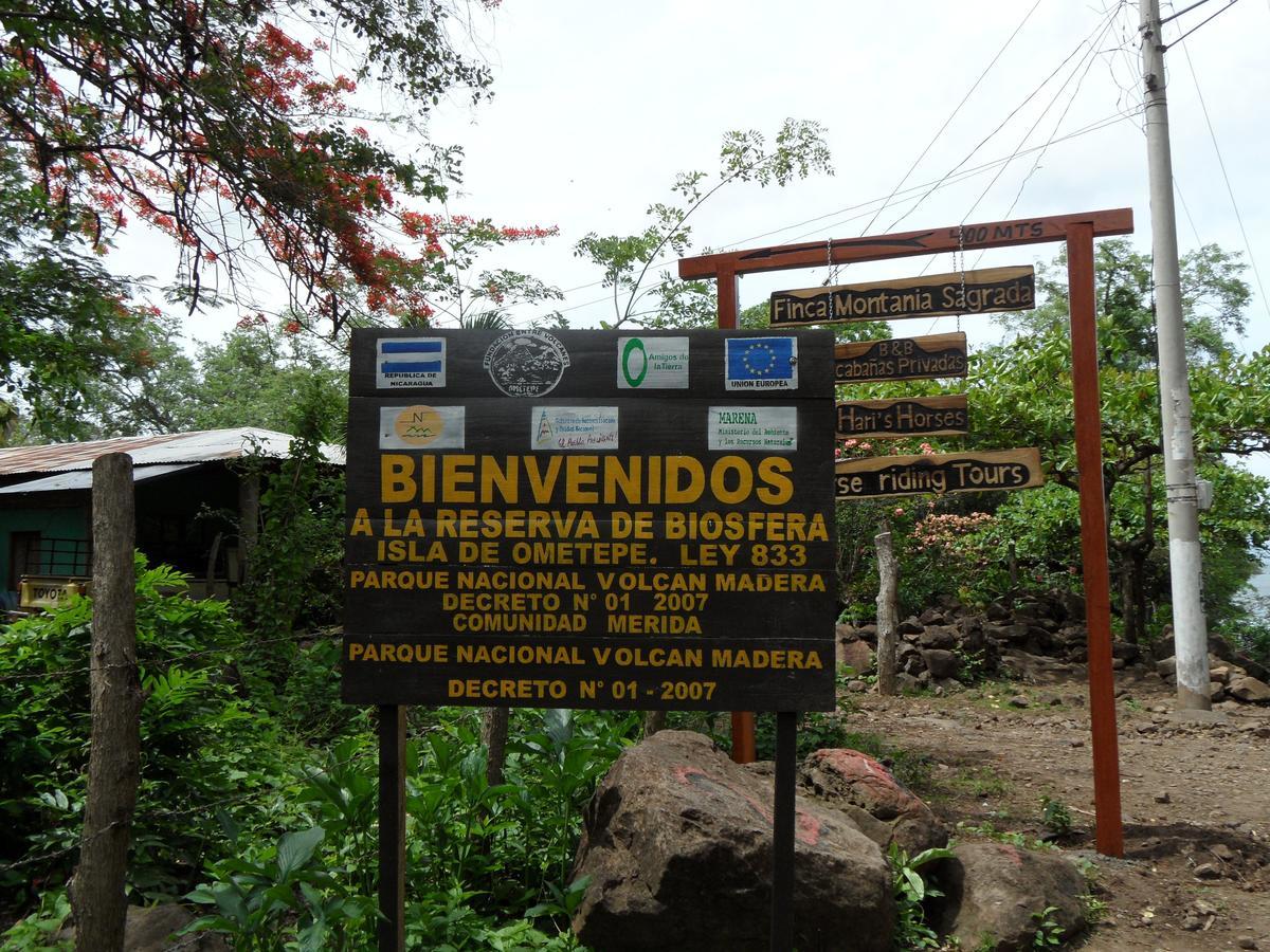 Finca Montania Sagrada Bed & Breakfast Merida Exterior photo